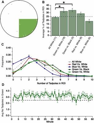 An Innate Color Preference Displayed by Xenopus Tadpoles Is Persistent and Requires the Tegmentum